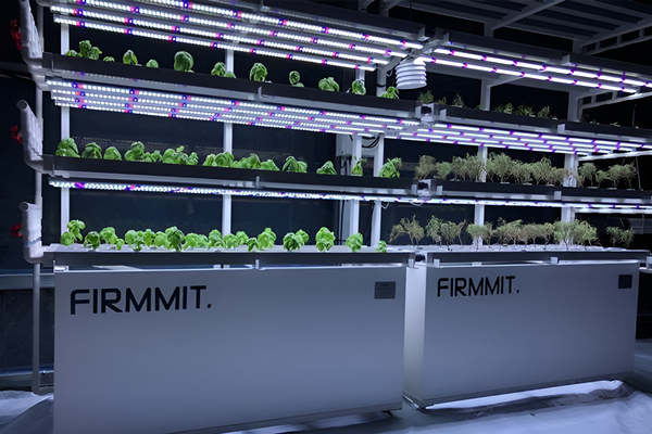 퍼밋, 한국 딸기 스마트팜 기업